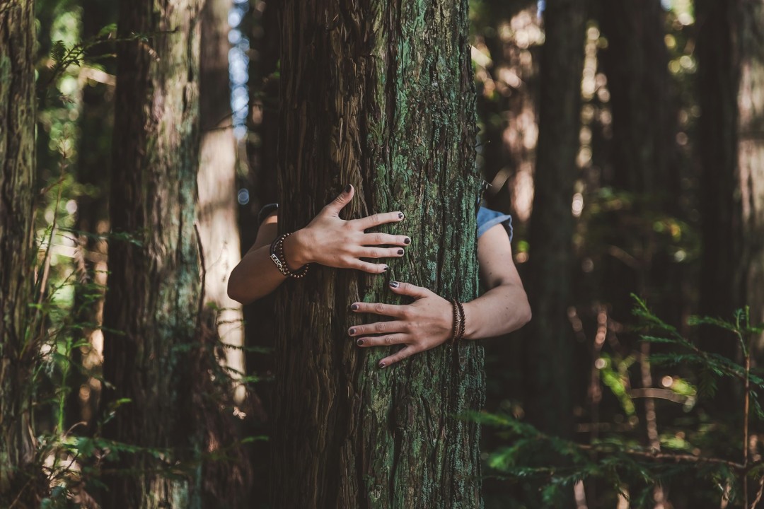 Conecte-se com a natureza e obtenha esses 3 benefícios para sua saúde física e mental